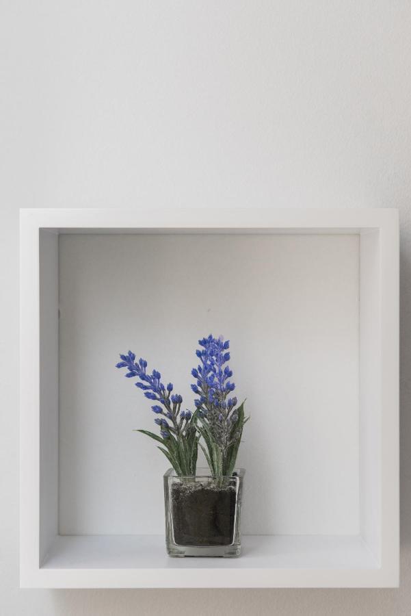 Studio Apartment Bilic Sibenik Ngoại thất bức ảnh